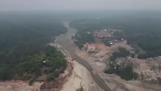 অ্যামাজন বনে রেড অ্যালার্ট জারির পরামর্শ