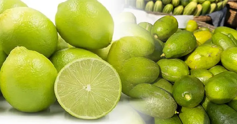 লেবুর বিকল্প পানীয়