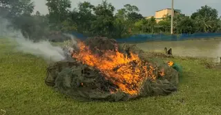 শেরপুরে নিষিদ্ধ চায়না দুয়ারী রিং জাল জব্দ