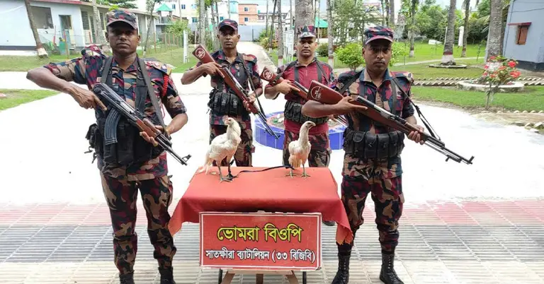 জব্দকৃত  ফাইটার মোরগ