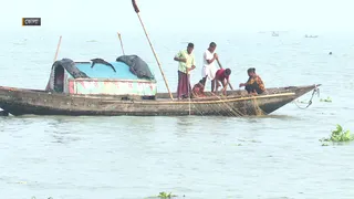 দিন-রাত জাল ফেলেও নদীতে মিলছে না ইলিশ!