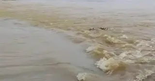মৌলভীবাজারে বন্যায় নিখোঁজ বৃদ্ধের মরদেহ উদ্ধার