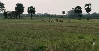 নওগাঁর সীমান্তে ৭ জনকে পুশইনের চেষ্টা