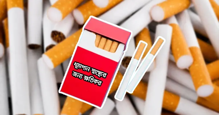 বাজেটে সিগারেটের দাম ২০২৬ নতুন মূল্য তালিকা