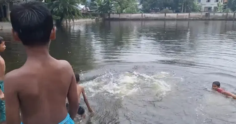 সাঁতার কাটছে শিশুরা
