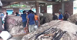 যশোরে চামড়ার দাম নিয়ে হতাশ ব্যবসায়ীরা