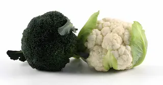 ফুলকপি বনাম ব্রকোলি; পুষ্টিগুণে সেরা কোনটি? জেনে নিন চিকিৎসকদের পরামর্শ