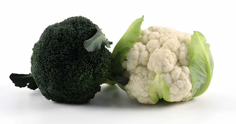 শীতের থালায় সাদা বনাম সবুজ! সাদা ফুলকপি নাকি সবুজ ব্রকোলি— পুষ্টির লড়াইয়ে জয়ী কে?