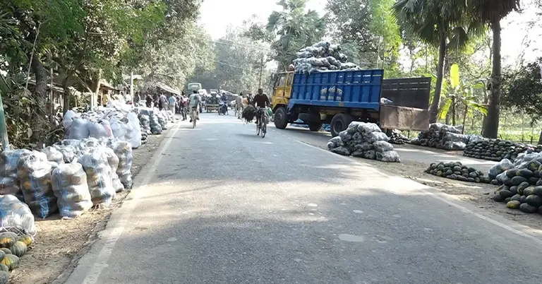 মিষ্টি কুমড়া