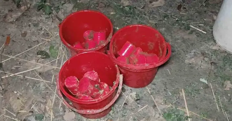 ককটেল উদ্ধার