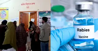 সারা দেশে জলাতঙ্কের ভ্যাকসিন সংকট, রোগ ছড়িয়ে পড়ার আশঙ্কা