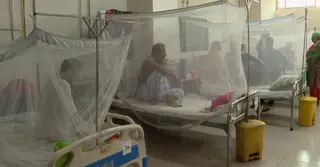 দেশে বাড়ছে ডেঙ্গুতে আক্রান্ত ও মৃতের সংখ্যা
