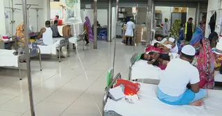 ডেঙ্গু জ্বরে ২৪ ঘণ্টায় প্রাণহানি আরও ৫, হাসপাতালে ৬৬৬ জন