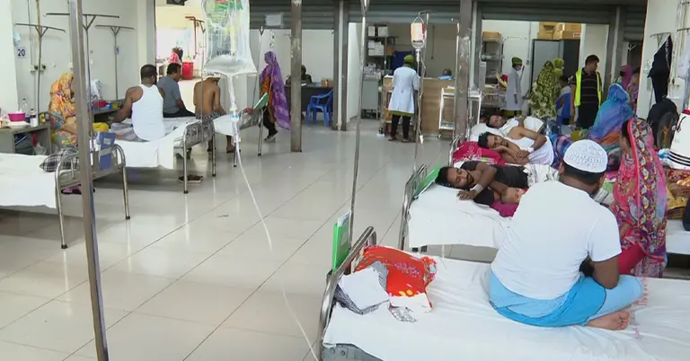 হাসপাতালে ভর্তি ডেঙ্গু রোগী