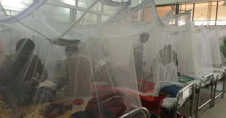 ডেঙ্গু আক্রান্ত রোগী