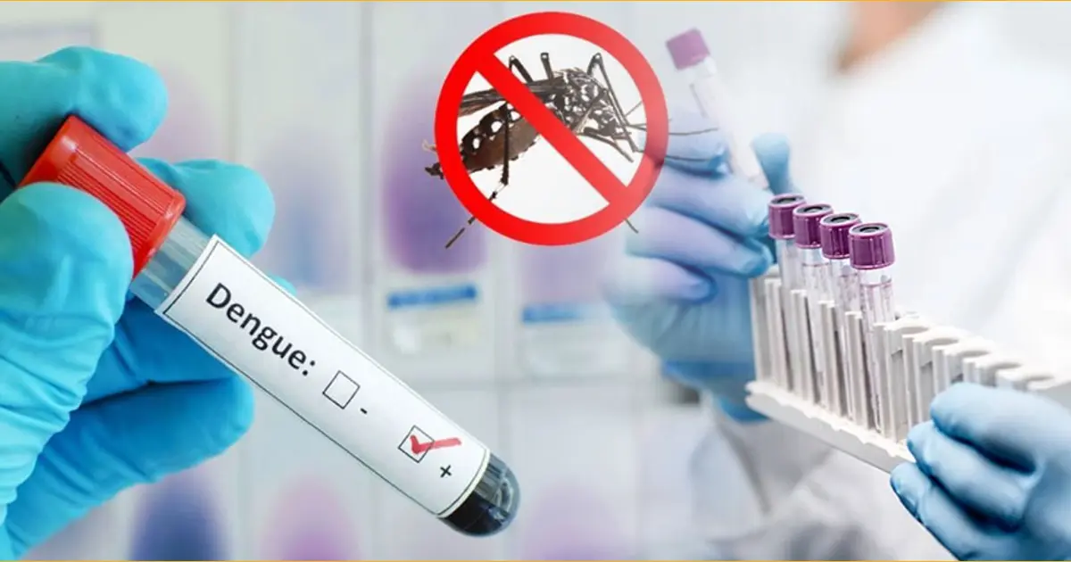ডেঙ্গুতে একদিনে আরও ৩ জনের মৃত্যু, ভর্তি ৯৯৪