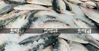 সাগর থেকে ফিরছে ট্রলার, কক্সবাজার ফিশারিঘাটে ফিরেছে কর্মচাঞ্চল্য