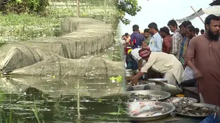 টাঙ্গাইলের নদীতে কমছে মাছ, জৌলুস হারাচ্ছে বাজার