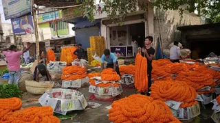 পশ্চিমবঙ্গে ফুলের জমজমাট ব্যবসা,  নিষেধাজ্ঞা প্রত্যাহারের দাবি