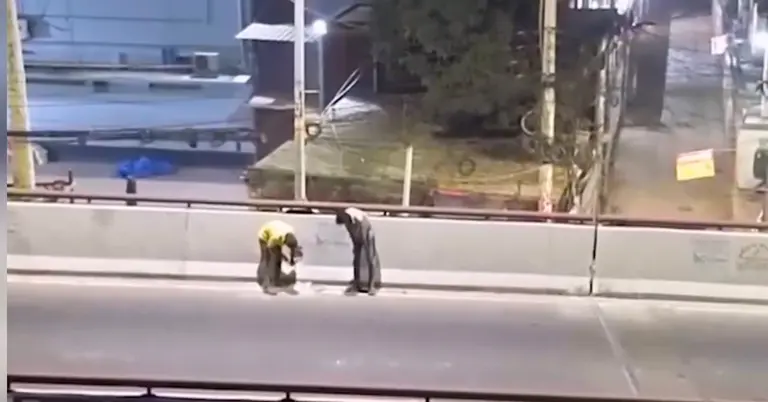 ফ্লাইওভার থেকে তার চুরির দৃশ্য