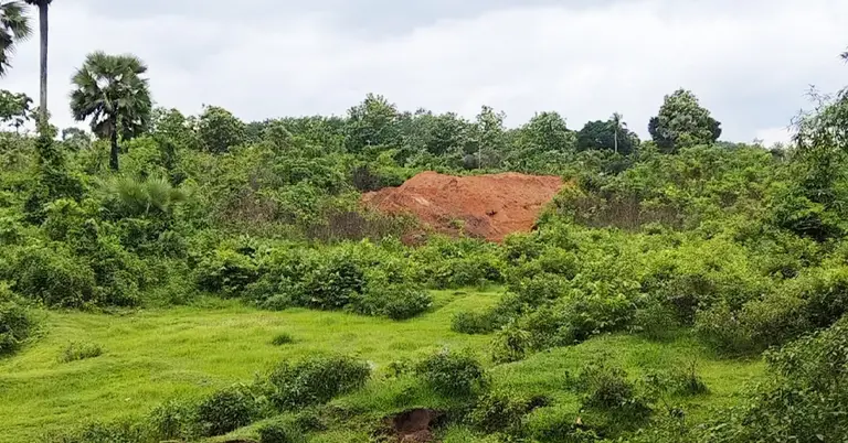 খনন করে উঠিয়ে রাখা মাটির স্তূপ