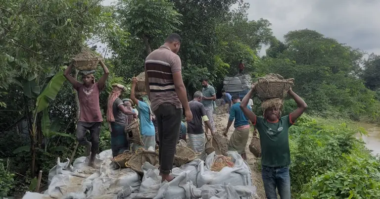 বাধেঁর ঝুঁকিপূর্ণ  স্থান মেরামতের কাজ চলছে