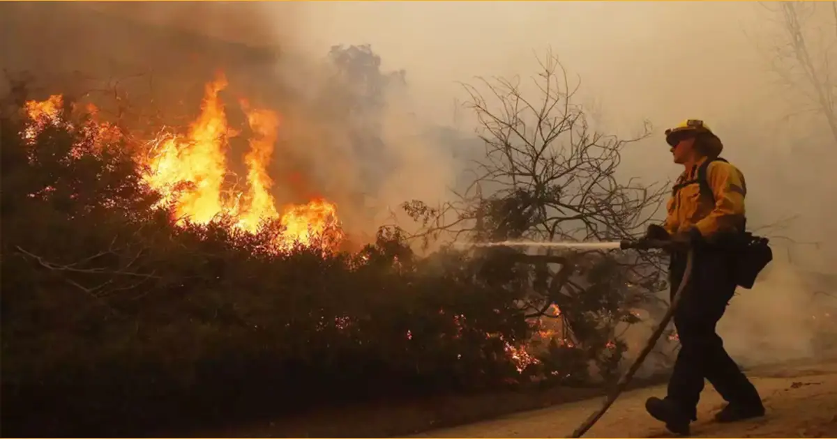 দক্ষিণ ক্যালিফোর্নিয়ার দাবানল: কম বৃষ্টিপাতকে দায়ী করছেন বিশেষজ্ঞরা
