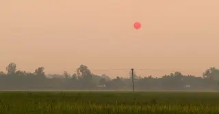 হেমন্তে প্রকৃতির আলিঙ্গন ও নবান্নের খোলা চিঠি