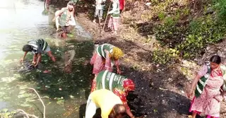 প্রধানমন্ত্রীর অসন্তোষ প্রকাশের পর হাতিরঝিল লেক পরিষ্কার করছে রাজউক