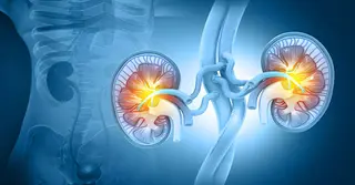 ল্যাব টেস্ট ছাড়াই ঘরে বসে কিডনি পরীক্ষা করুন সহজ পদ্ধতিতে