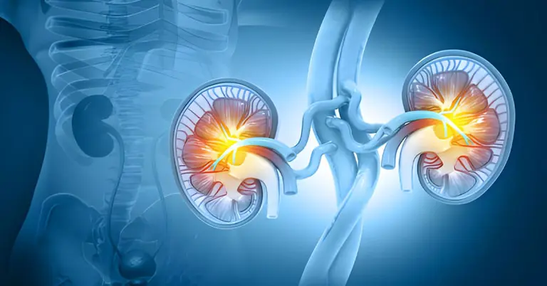 ল্যাব টেস্ট ছাড়াই ঘরে বসে কিডনি পরীক্ষা করুন সহজ পদ্ধতিতে