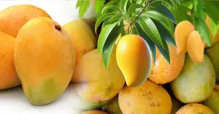 রাসায়নিক দিয়ে পাকানো আম চিনবেন যেভাবে: কারবাইডমুক্ত আম চেনার ৫টি সহজ উপায়