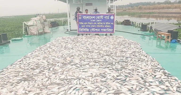 জাটকা জব্দ