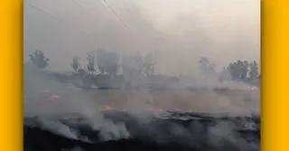 দূষণে ঢেকে যাচ্ছে কাশ্মীরের সৌন্দর্য