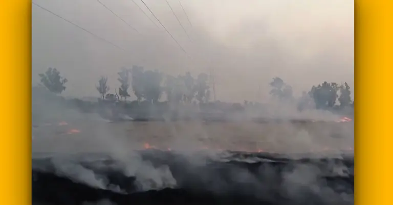 ধোঁয়া আর দূষণে কাশ্মীর