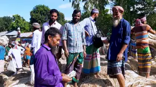 চরে দু'দিনের হাটে ২০ কোটি টাকার বেচাকেনা