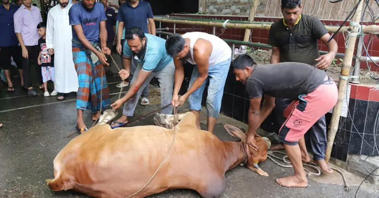 রাজধানীতে ২য় দিনের মতো কোরবানি চলছে, এখনো রয়েছে বর্জ্য