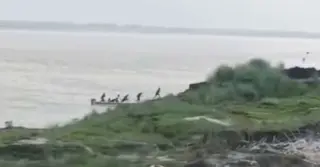 কুষ্টিয়ায় পদ্মার তীরে গ্রামবাসীর ওপর দুর্বৃত্তের গুলি