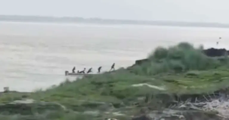 স্পিড বোট থেকে দুর্বত্তদের গুলিবর্ষণ