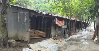 ২৫ বছরেও মেলেনি সংস্কার: জরাজীর্ণ মানিকগঞ্জের আশ্রয়ণ প্রকল্প