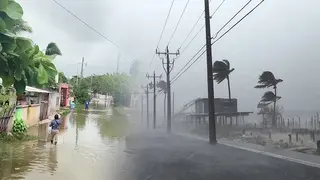 হারিকেন মিল্টনের আঘাত; প্রবল বৃষ্টি, বিদ্যুৎবিচ্ছিন্ন ২৮ লাখ মানুষ