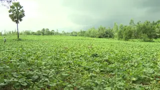 প্রান্তিক কৃষকদের প্রণোদনা বাড়ানোর পরামর্শ কৃষি অর্থনীতিবিদদের