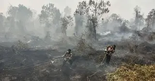 ইন্দোনেশিয়ার দাবানলের ধোঁয়ায় ছেয়ে পড়লো মালয়েশিয়া