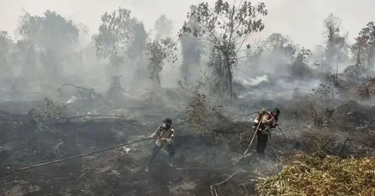 দাবানলের ধোঁয়া