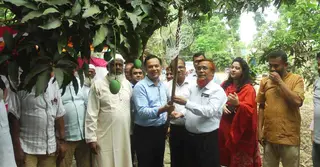 আজ থেকে বাজারে মিলবে চুয়াডাঙ্গার আম