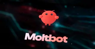 ভাইরাল মল্টবট: সুবিধার সঙ্গে বাড়ছে নিরাপত্তা ঝুঁকির প্রশ্ন