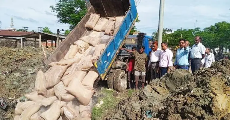 মাটি চাপা দেয়া হচ্ছে পঁচে যাওয়া চাল