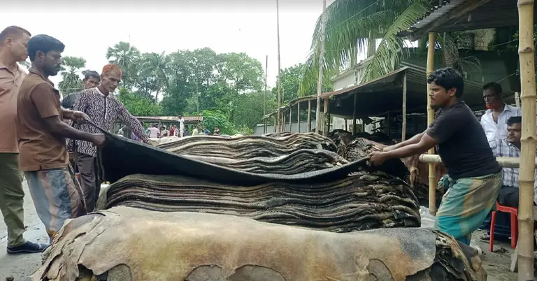 ময়মনসিংহে চামড়ার হাটে চামড়া তুলছেন ব্যবসায়ীরা