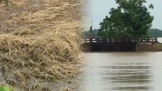 নেত্রকোণায় আকস্মিক বন্যায় ক্ষতি ৩১৫ কোটি টাকার ফসল