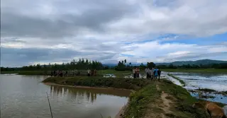 নেত্রকোণায় পানি নিষ্কাশনের পথ বন্ধ করে ফিশারি, তলিয়ে গেছে ৫০ একর কৃষি জমি